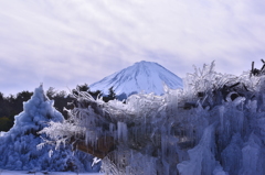 樹氷の美