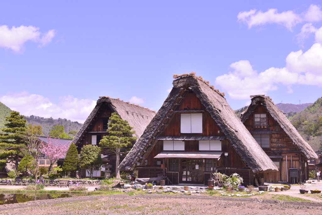 素晴らしき日本建築