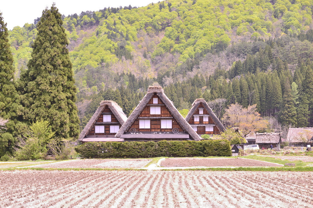 日本の風景