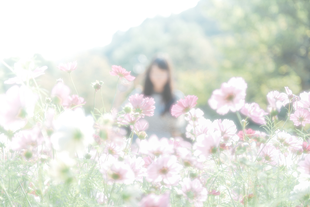 逢瀬