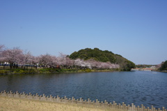 DSC01153