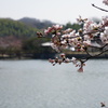 DSC01131