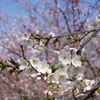 DSC01172