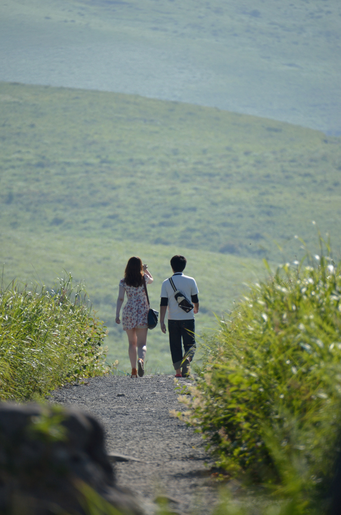 高原の散歩道