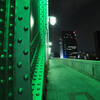 5D_03540