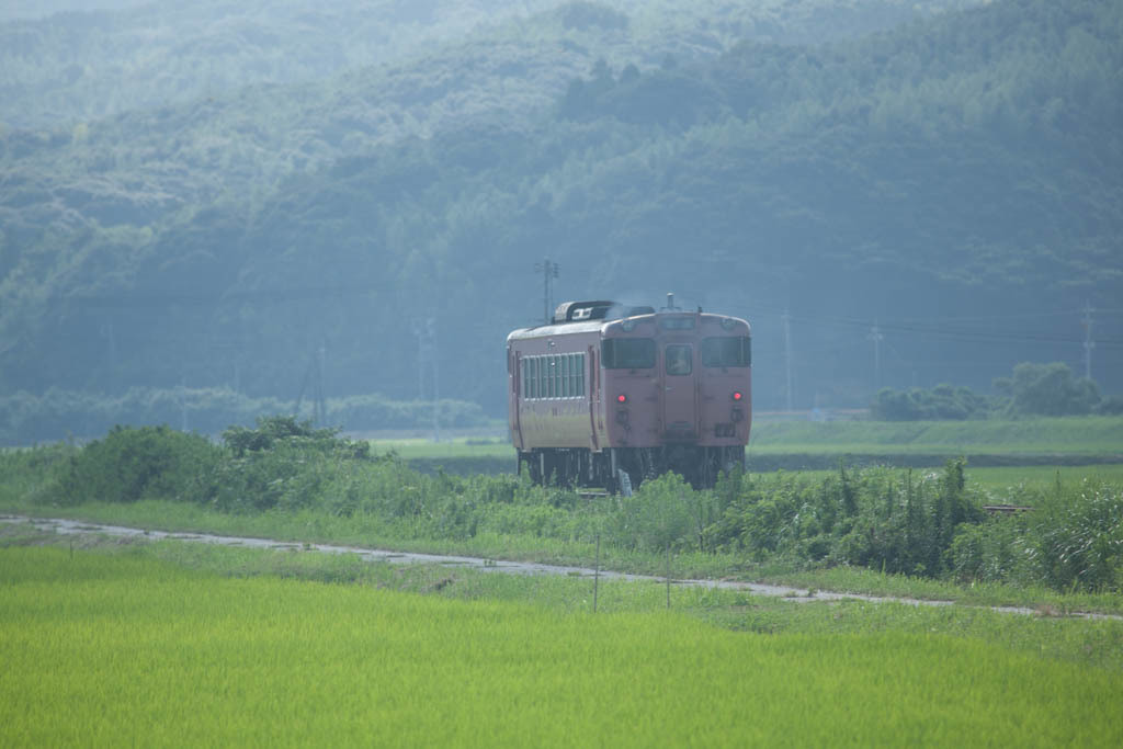 5D_150864