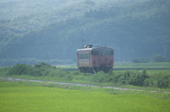 5D_150864