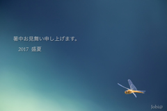 盛夏