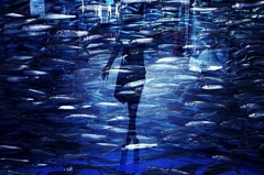 「わたしをちゃんと見つけられるかな」