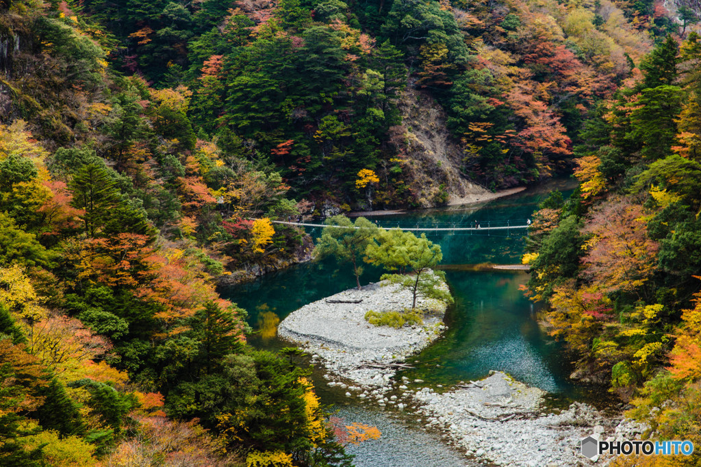 夢の吊橋