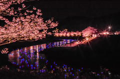 夜桜流れ星