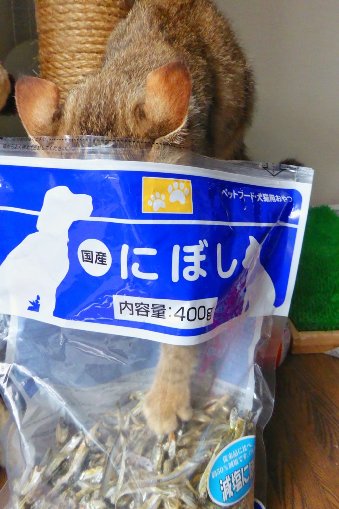 にぼし泥棒