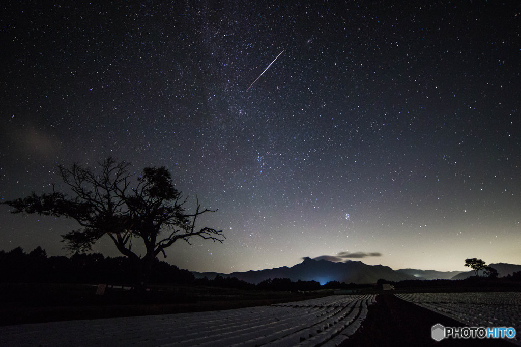 星空と老木と…