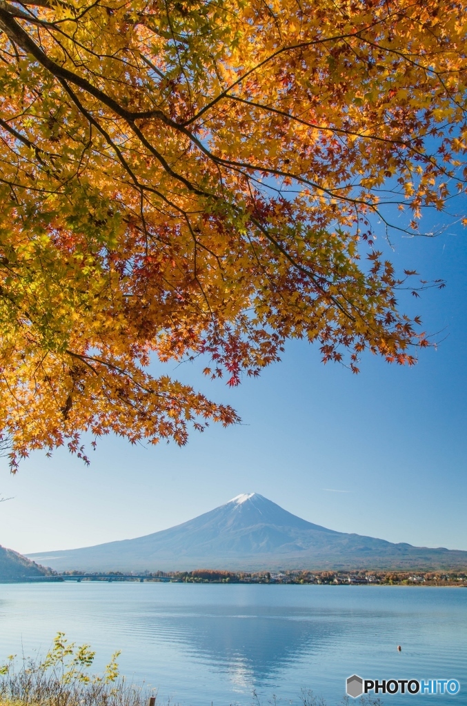 紅葉富士