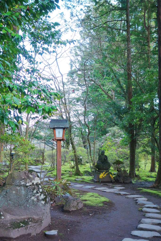 新緑のお寺