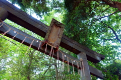 五月の八幡神社