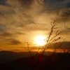 宝登山からの夕日
