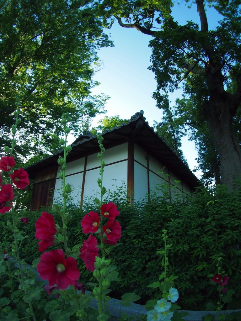 トワイライトな松本神社