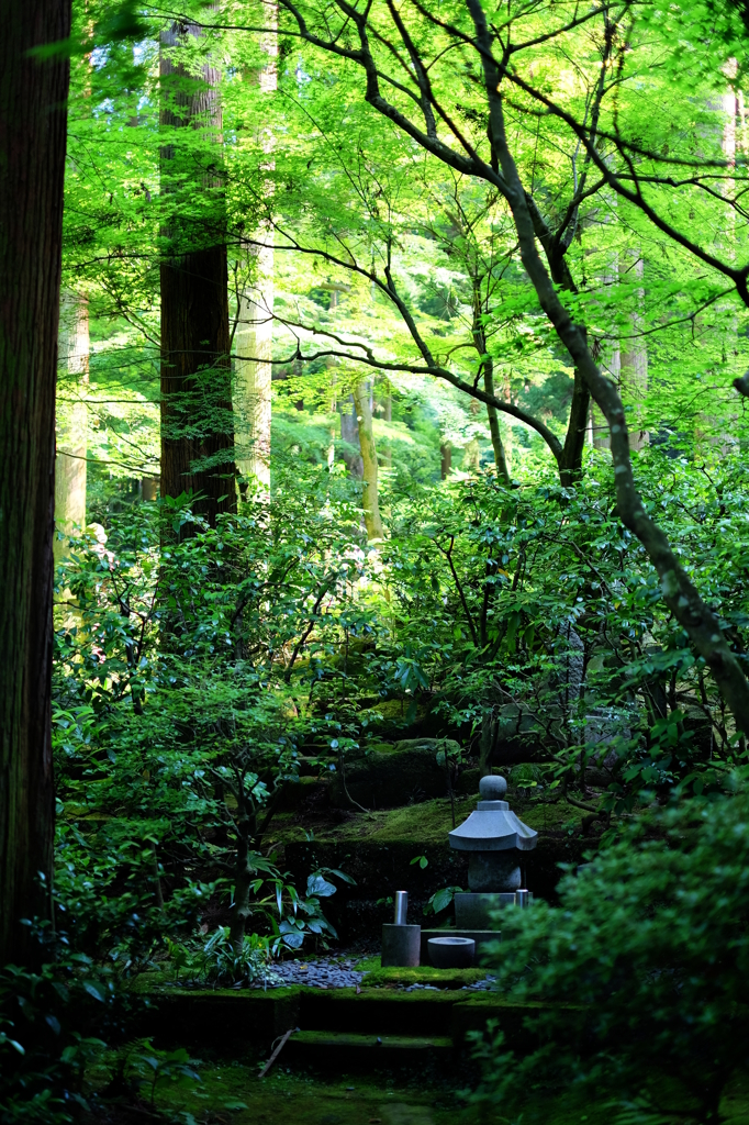 緑の東慶寺