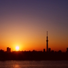 スカイツリーと夕焼けの世界