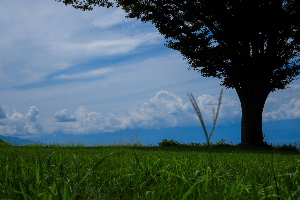 縄文の空