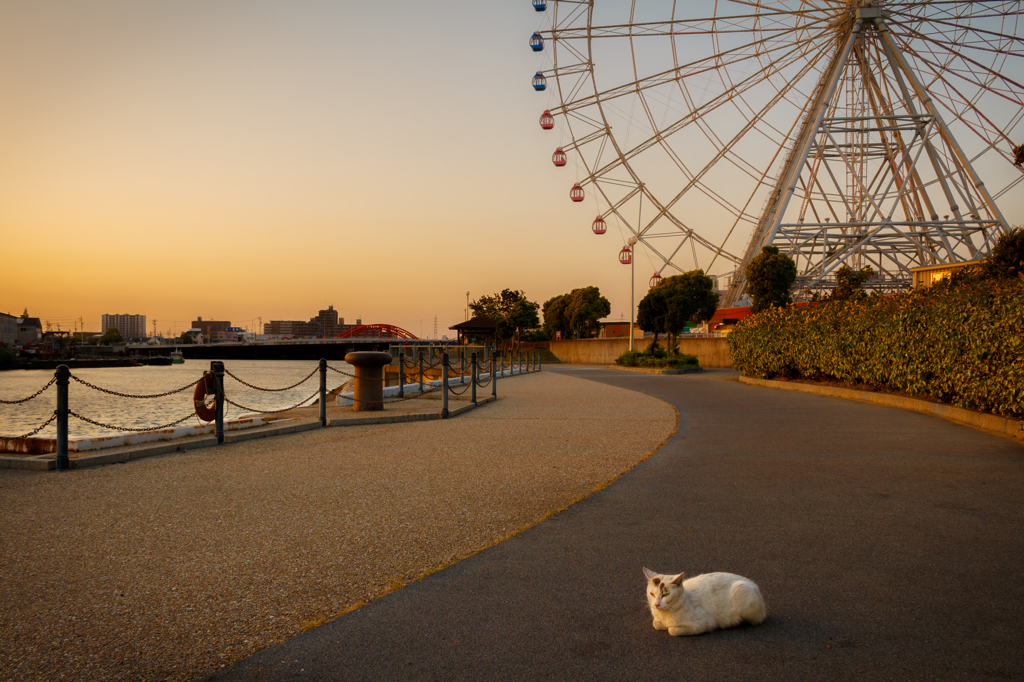 夕方の名古屋港