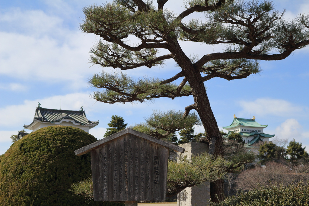 でら名古屋