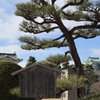 でら名古屋