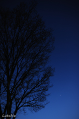 D70_2010-1