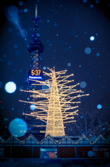 White Christmas Sapporo