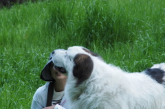 Good-girl!