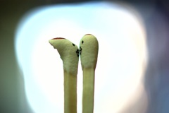 初めて〜の〜❤︎❤︎