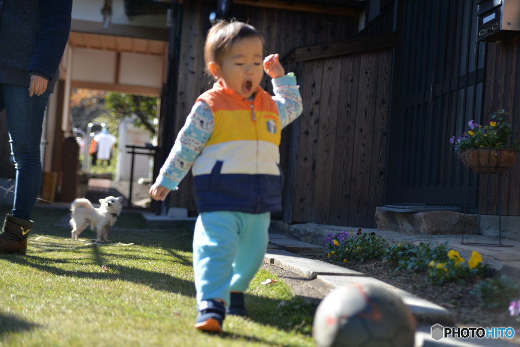 冬の朝