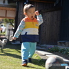 冬の朝