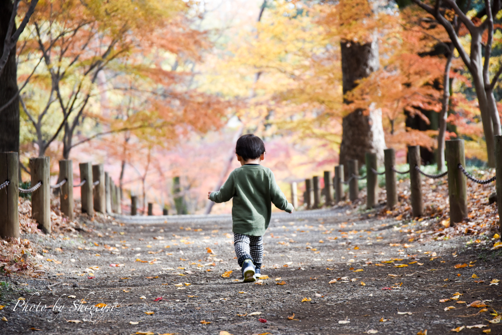 紅葉狩り