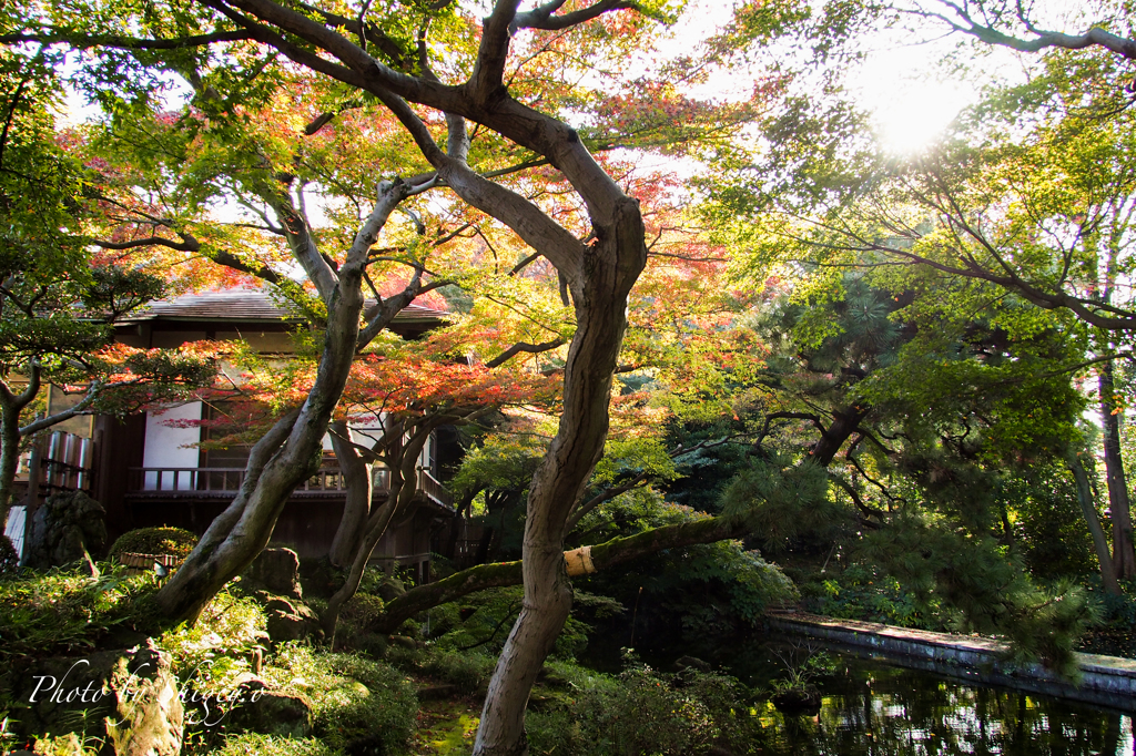 今年の秋はこれから