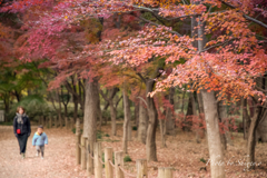 平林禅寺