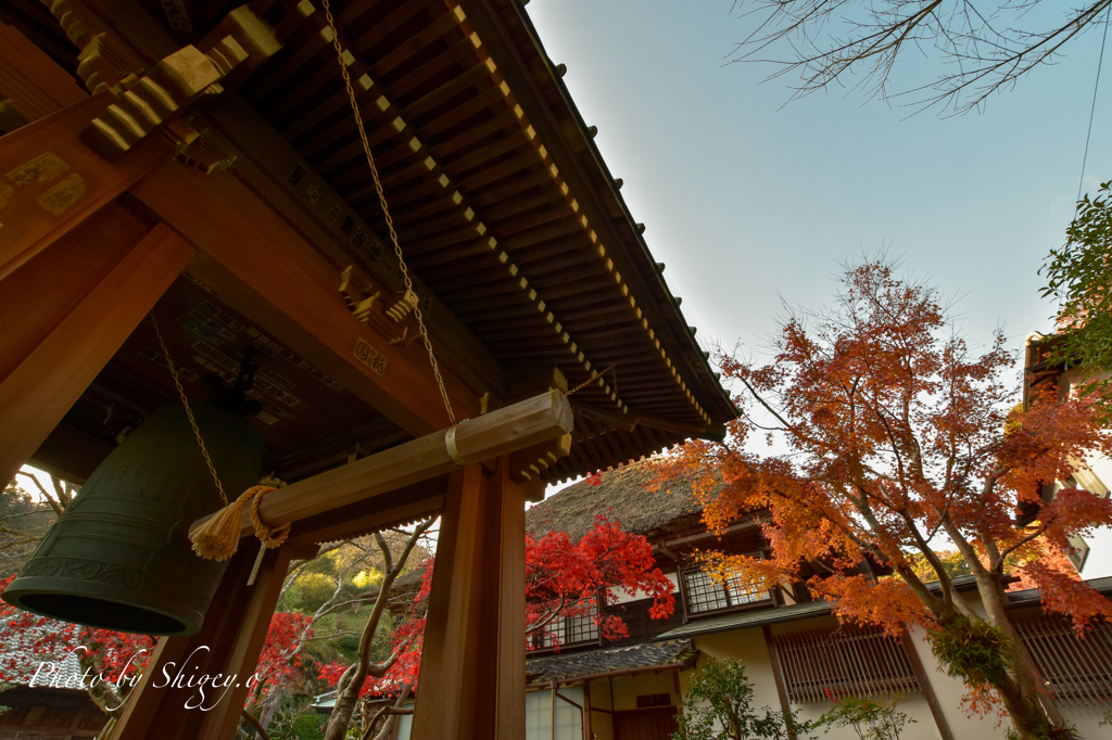 晩秋の海蔵寺