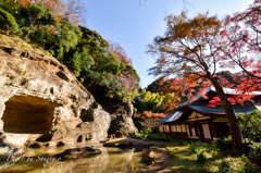 秋を追いかけて…鎌倉