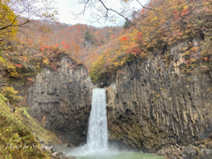 苗名滝⑤