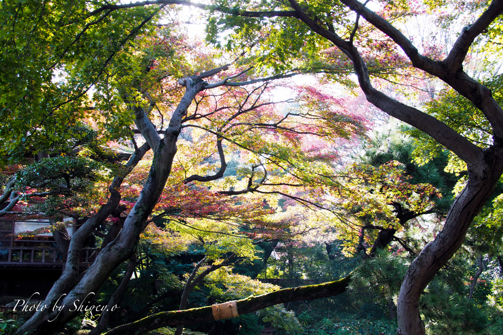 冬はまだまだ先？