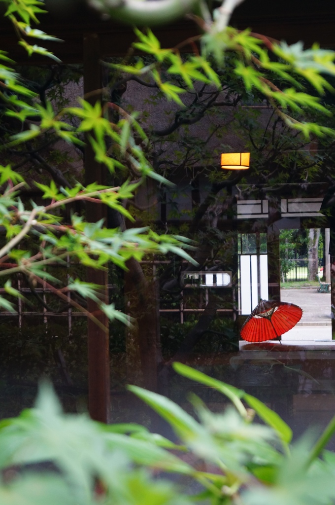 夏の足跡