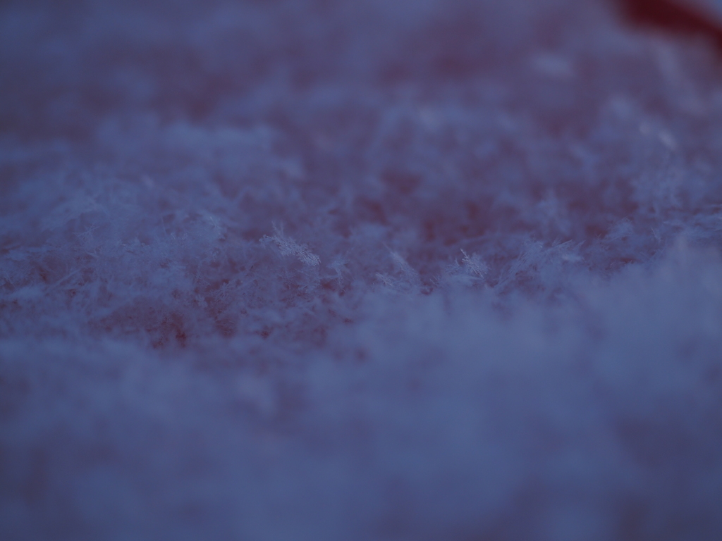 powder