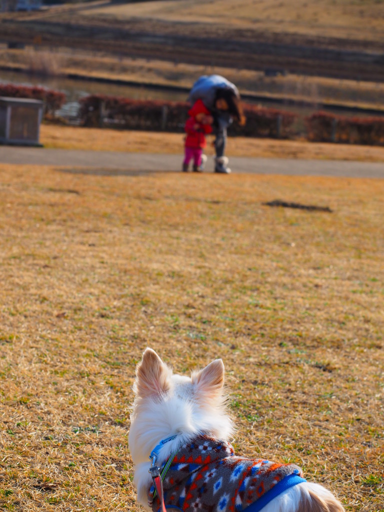 早く行こうよ・・・