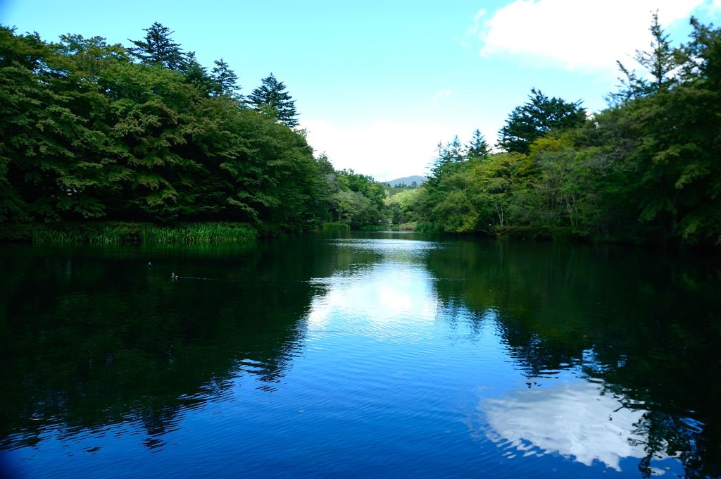 軽井沢　雲場池