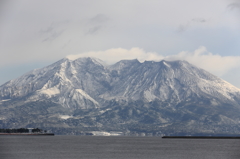 雪化粧