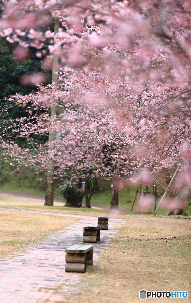 春の予感