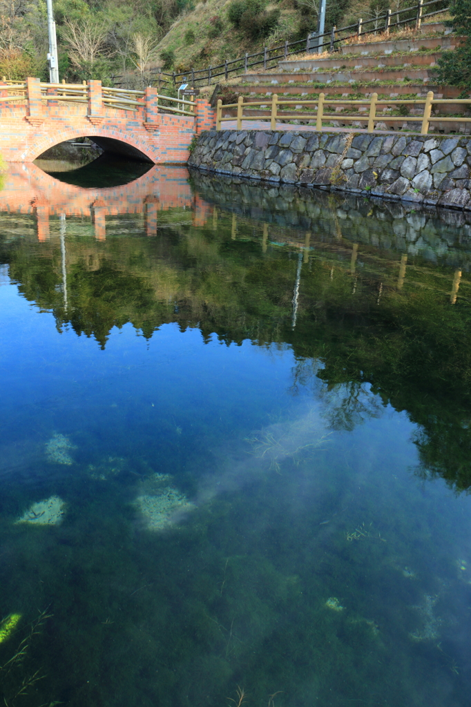 丸池湧水
