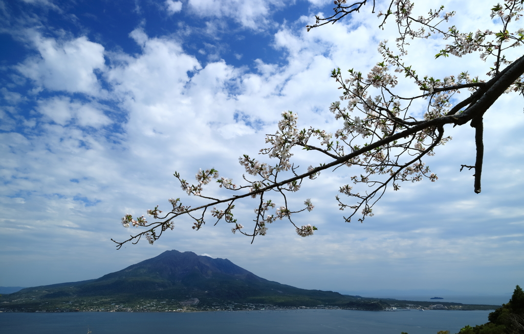 磯山に舞う