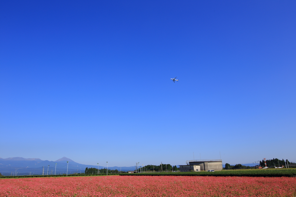 空と蕎麦の間に